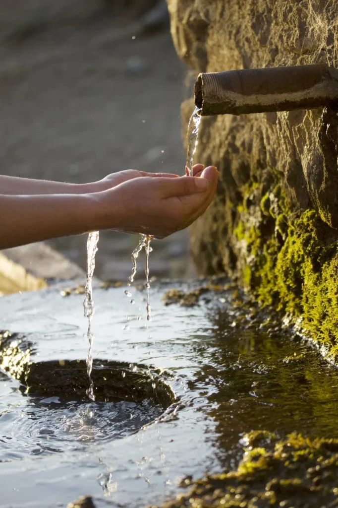 The Purification in Islam Course